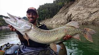 FISHING: PIKE ATTACKS !!! (ADRENALINA PURA!)