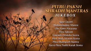 Pitru Paksh Shradh Mantras | Jukebox | Pitru Paksha Stotram | Mantras | Pitru Paksha 2024