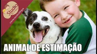 Animalzinho de estimação - Studio da Criança