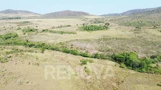 Chapada dos Veadeiros - Vivenda Ecológica Jequitibá