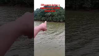 represa baixo muito minha ceva de carpa #billing #billing #pesca #carpa #pescaria