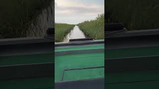 Voyage through the Florida Everglades