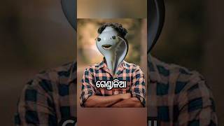 ରାମ ମନ୍ଦିର Vs ପୁରୀ ଶ୍ରୀମନ୍ଦିର | #shortsfeed #funny #viral #odianews #odiarost