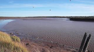 Tidal bore off Virgina @ Dieppe. October 3, 2020.