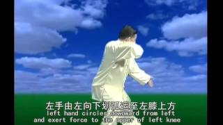 Chen Xiao Wang Complete Chen Taijiquan Collection 33DVDs - Serie 3: 38-posture Frame