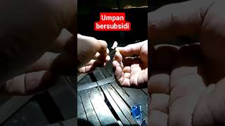 umpan bersubsidi #shorts #umpanmancing #umpanudangkupas #hobimancing