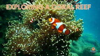 Exploring a Coral Reef |Teacher Aide