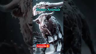 Frozen Animals❄#frozen #animals #hybrids #hybridanimals #trending #shorts #viralshorts