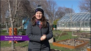 Step 2 - How to build your own vegetable garden by Urban Seedling