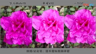 Huawei MATE10 vs Honor V10 vs One plus 5T Camera Test!