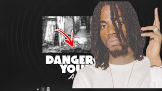 Alkaline - “DANGEROUS YOUTH” Official Review Analysis