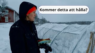 Håller växthuset för all snö?