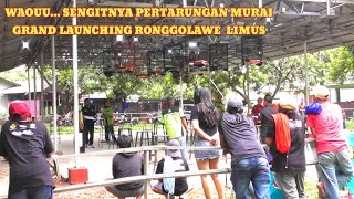 Pertarungan sengit murai fighter - Grand Launching Ronggolawe Limus, minggu 13/10/23. @