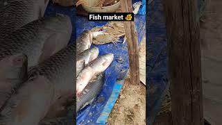 Fish market #fish #fishing #shorts #short #viral