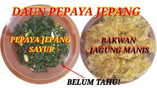 DAUN PEPAYA JEPANG DITUMIS & BAKWAN JAGUNG/RESEP PESANAN