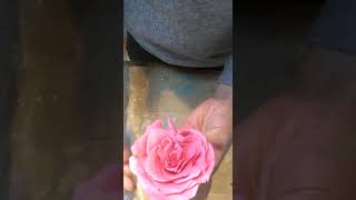 How to shape a rehydrated rose by hand.