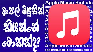 What is Apple Music - Explained | Sinhala