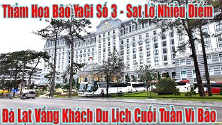 Thảm Họa Bão Yagi- Đà Lạt Sạt Lở Nhiều Điểm, Vắng Du Khách