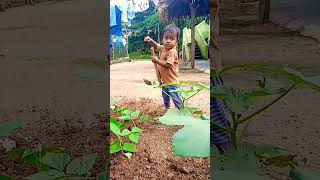 #agriculture  #raithu #farmlife #youtube 🌾🌾🌾🌱🌱🌿🌿