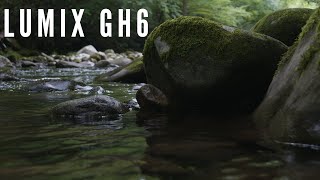 GH6 Cinematic Mountain Stream