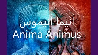 10. موديل كارل يونغ للذكورة والأنوثة Anima Animus