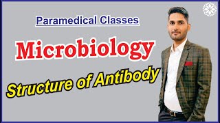 Antibody || Immunoglobulins Structure and Function || Antibody Structure Types and Function|| KK SIR