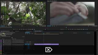 Что нового в Adobe Premiere Pro 2015.3?