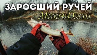 Экстрим на Рыбалке: Щука и Окунь под Дождем! 🚀🌧️#микроджиг  в Нелетную Погоду #рыбалка #окунь #щука