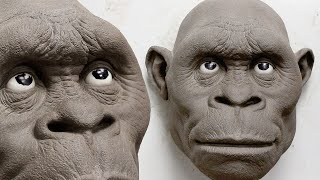 Learn Online Trailer - Sculpting Homo Habilis