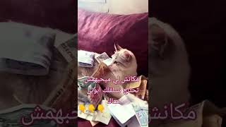 دارهم هوما كلش فدنيا هاذي