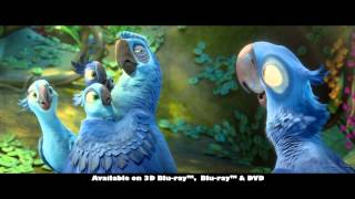 Rio 2 - Available on 3D and 2D Blu-ray & DVD - 16th July 2014