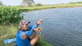 Mancing Di Rawa Full Strike