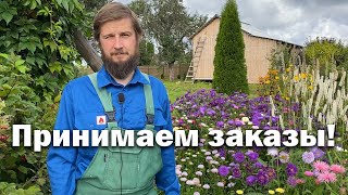 Принимаем заказы!