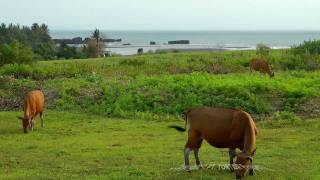 Bali land for sale Nyanyi beach elevated small plot with ocean views sunset