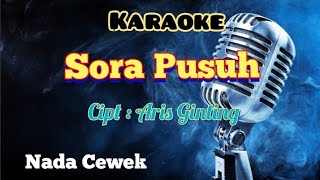 SORA PUSUH | KARAOKE LAGU KARO | NADA CEWEK