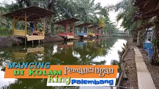 Mancing di Kolam Pemancingan King Palembang