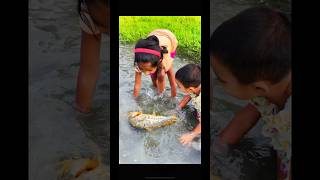 Amazing hand Fishing in Village #fishing #fish #handfishingvideo