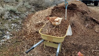 1st day of Spring spreading wood chip