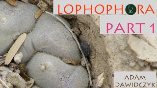 Lophophora Part 1| Adam Dawidczyk【TCSC Monthly Meeting】20210518