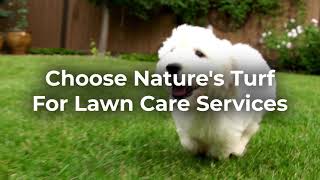 Lawn Care Service - Weed Control & Fertilization