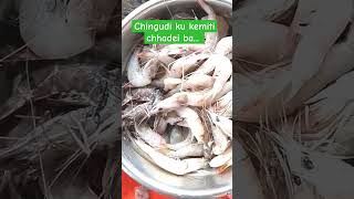 chingudi ( prawn) 🍤 ku kemiti chhadei ba... झींगा 🍤 को कैसे साफ करें #shorts #ytshorts #comedy