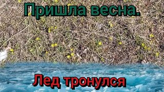 Лед тронулся господа.Пришла весна. Дел не в поворот. Как жить дальше.