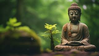 Mindful Melodies 》Relaxing Flutes, Calming Meditation Music 》Buddha's Flute