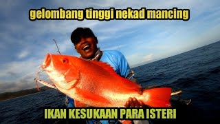 INILAH DERETAN IKAN PALING DISUKAI PARA ISTRI