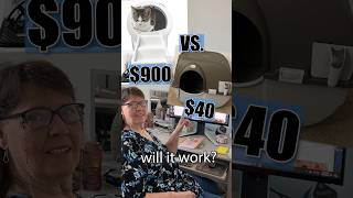 Surprising mom with $40 rolling litter box instead of the $900 robotic box she wants #cleanpethome