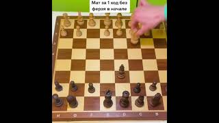 Это самый наглый МАТ! Быстро выиграть в шахматы. #chess #shorts