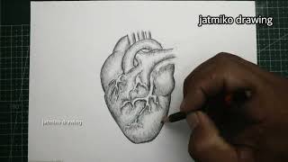 human heart diagram drawing