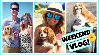 VLOG: 1 Year Anniversary & Willow's 3rd Birthday! Style By Dani