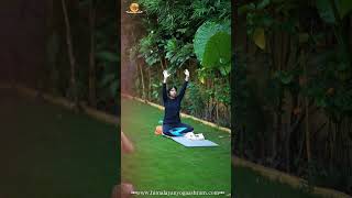 🕉️ Pranayama and Meditation | Yoga Journey in Rishikesh India | Yoga Teacher Training Course