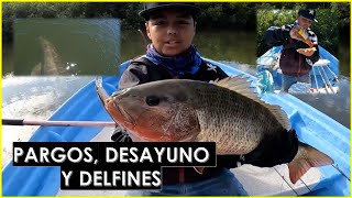 PESCA DE GRANDES PARGOS CON SEÑUELO